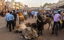 Puri,  Odisha