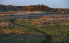 Texel