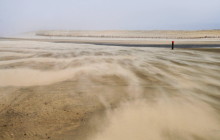 Texel