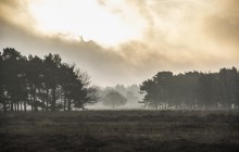Westerheide