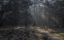 Westerheide