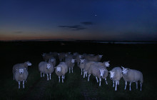 Eempolder